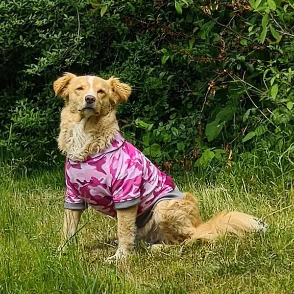 Hunde Hoodie, Design Camouflage rosa, seitliche Vorderansicht