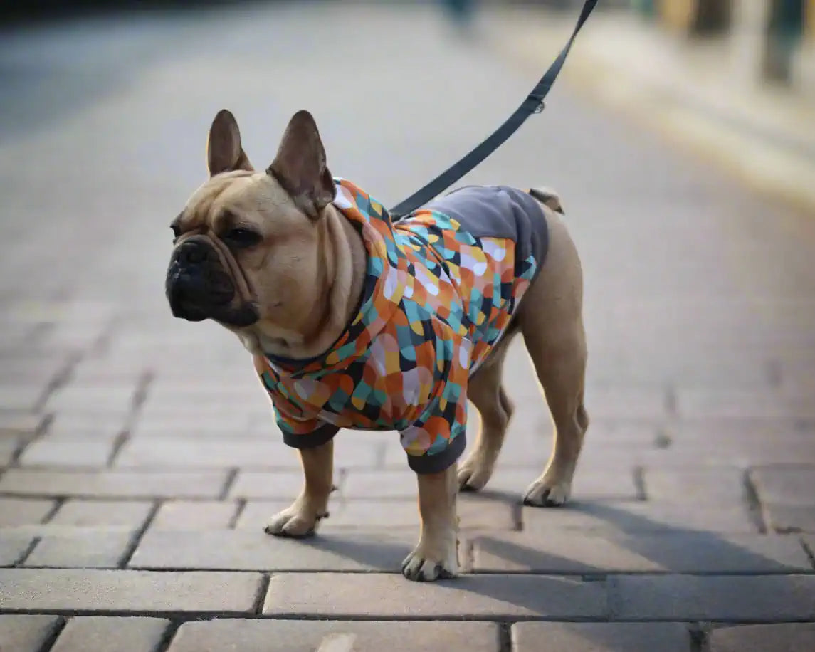 Hunde Hoodie im Retro Design, seitliche Vorderansicht