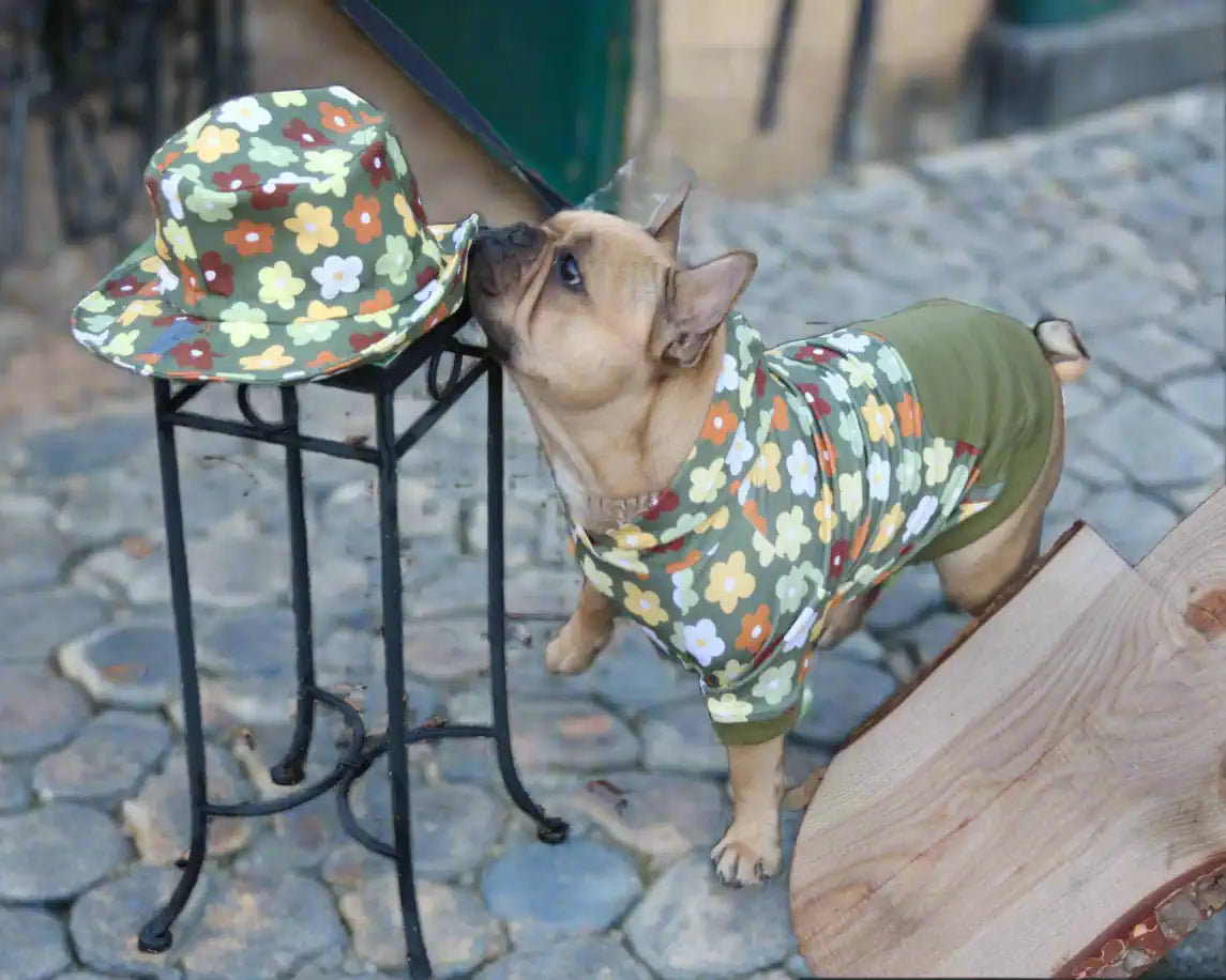Hunde Hoodie im Blumendesign, Hund schnüffelt am Regenhut