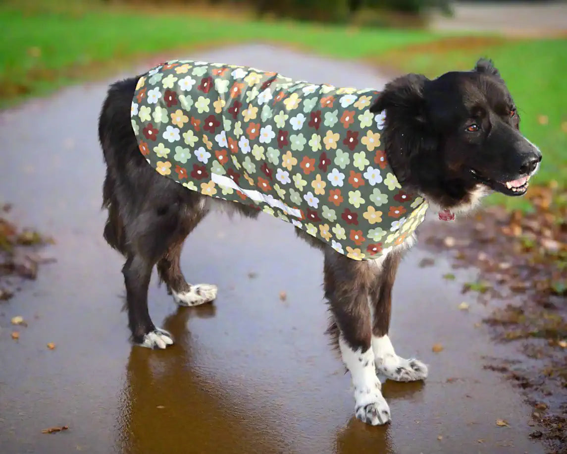 Hund mit Regenmantel im Blumendesign, Seitenansicht