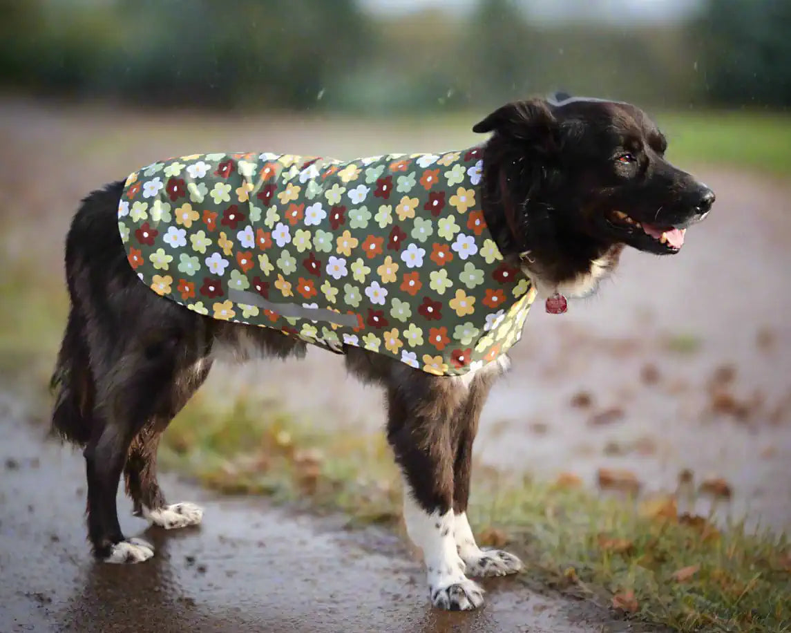 Hund mit Regenmantel im Blumendesign, Seitenansicht