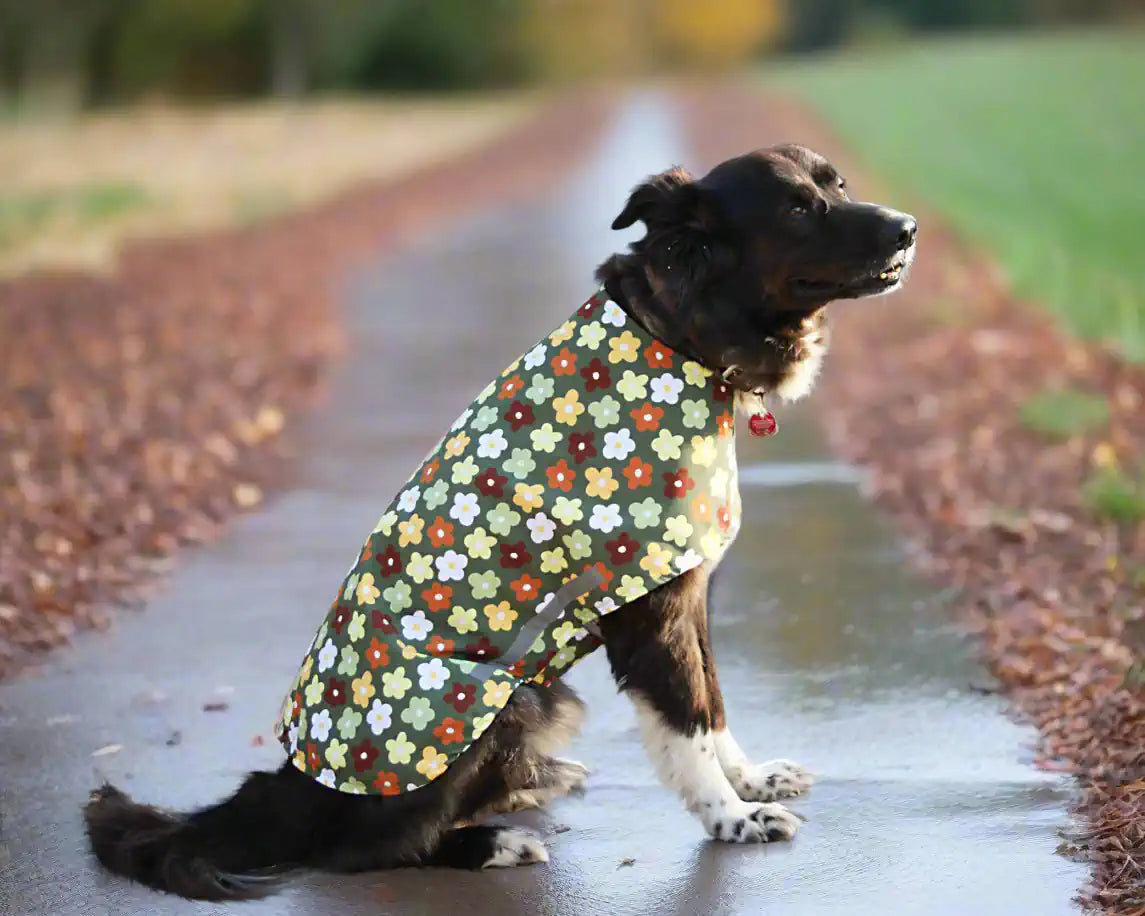 Hund mit Regenmantel im Blumendesign, Seitenansicht