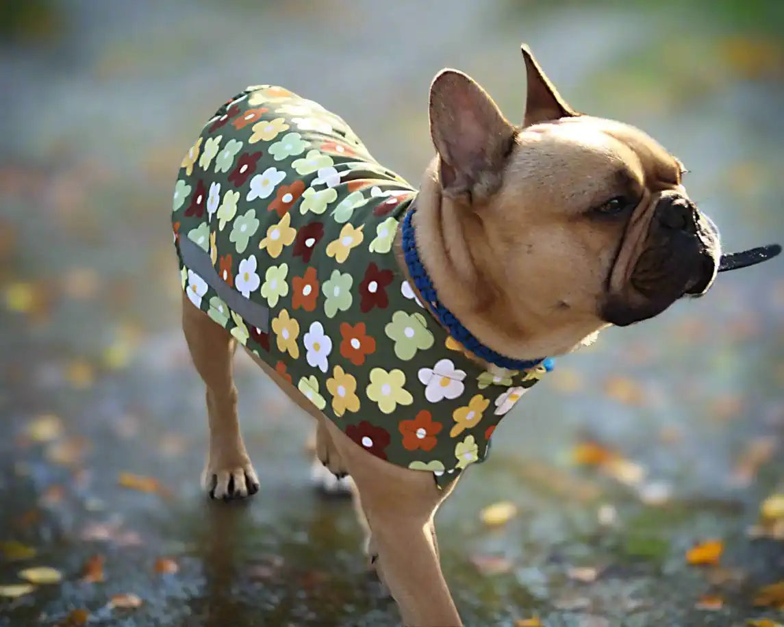 Kleiner Hund mit Regenmantel im Blumendesign