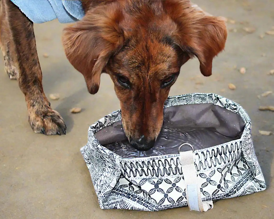 Hund trinkt aus Reisenapf