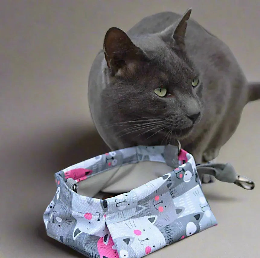Katze mit kleinem Reisenapf, Katzenmotiv