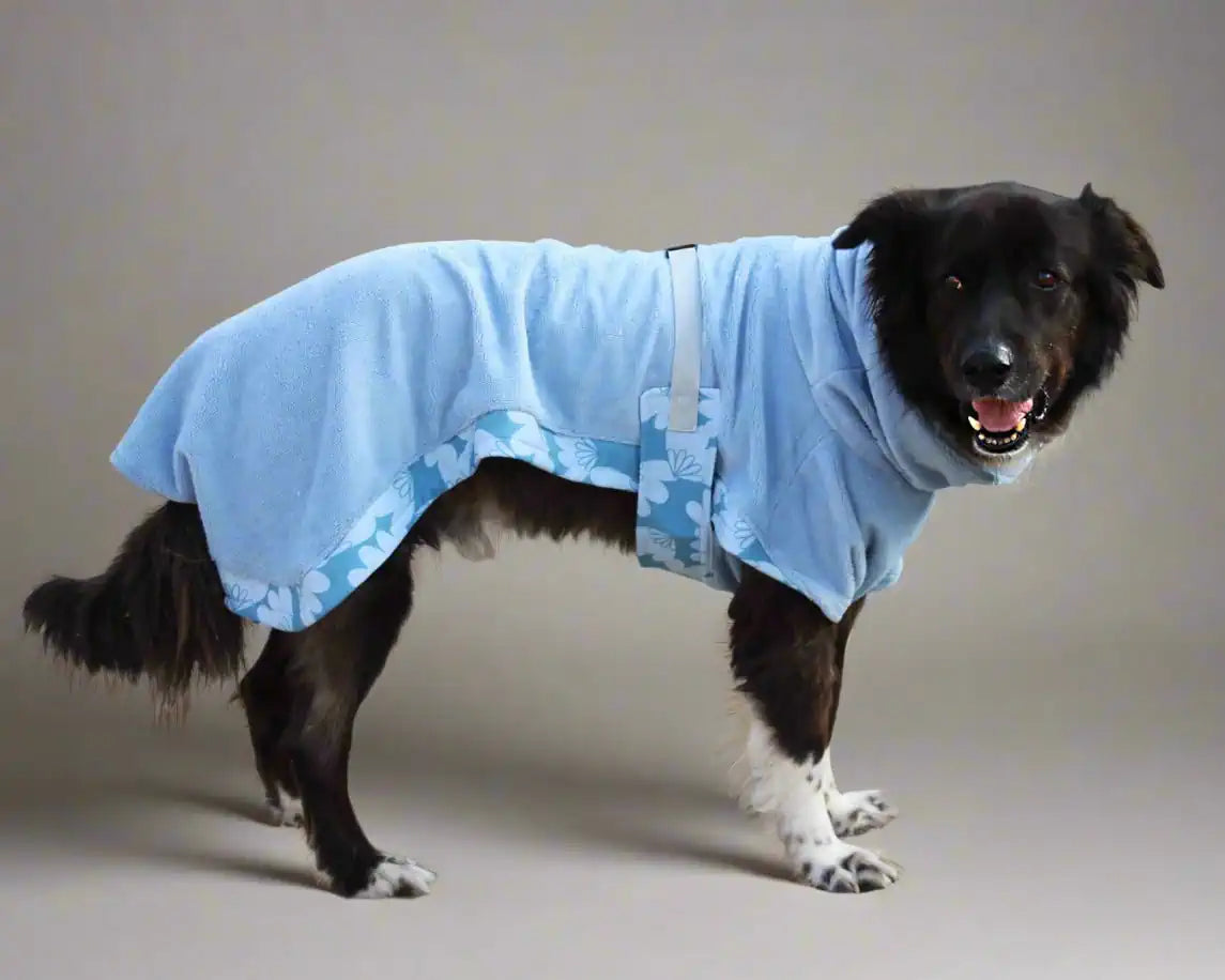 Hund mit blauem Bademantel, seitlich
