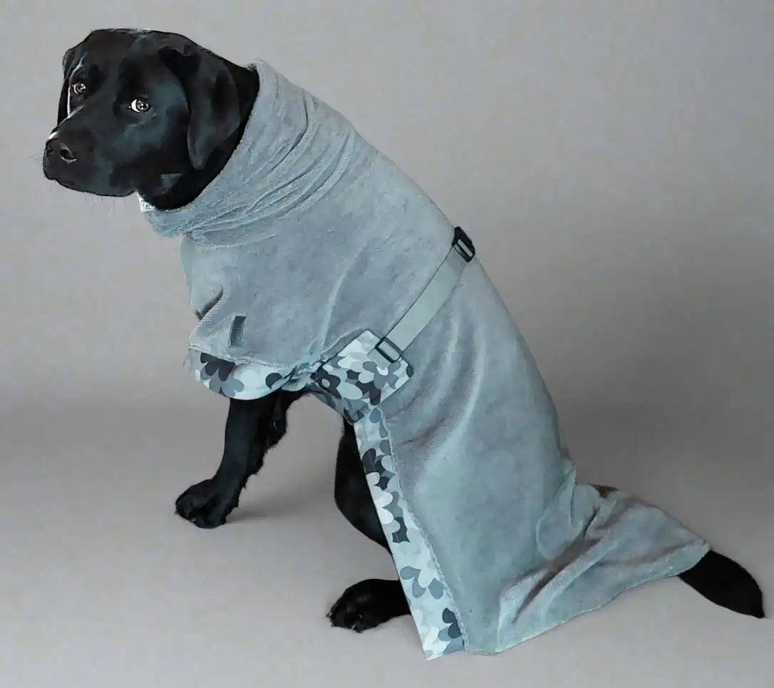 Hund sitzend, mit grauem Bademantel