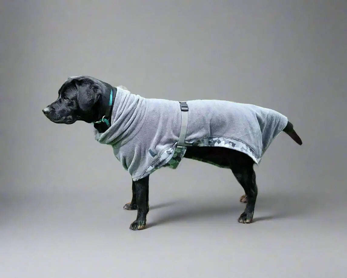 Hund mit grauem Bademantel, Seitenansicht