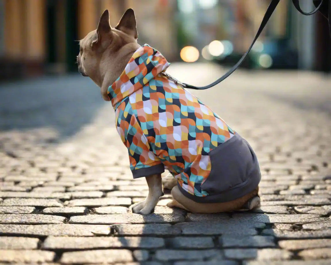 Hunde Hoodie im Retro Design, seitliche Rückansicht