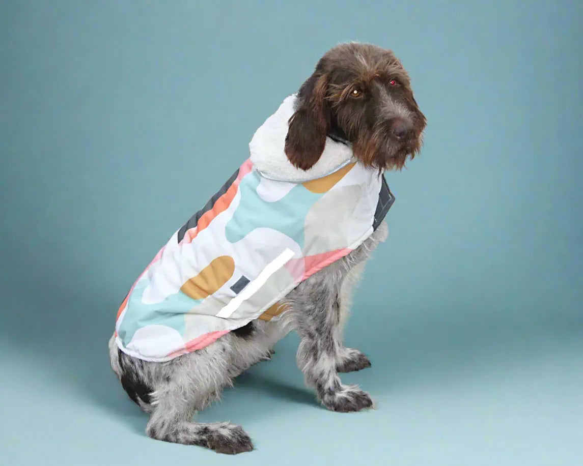 Hunde Wintermantel bunt, Seitenansicht