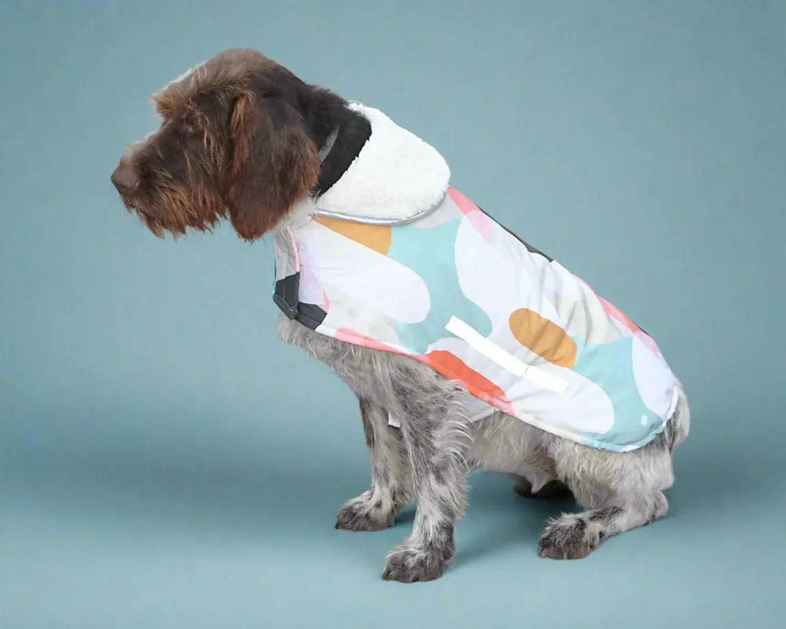 Hunde Wintermantel bunt