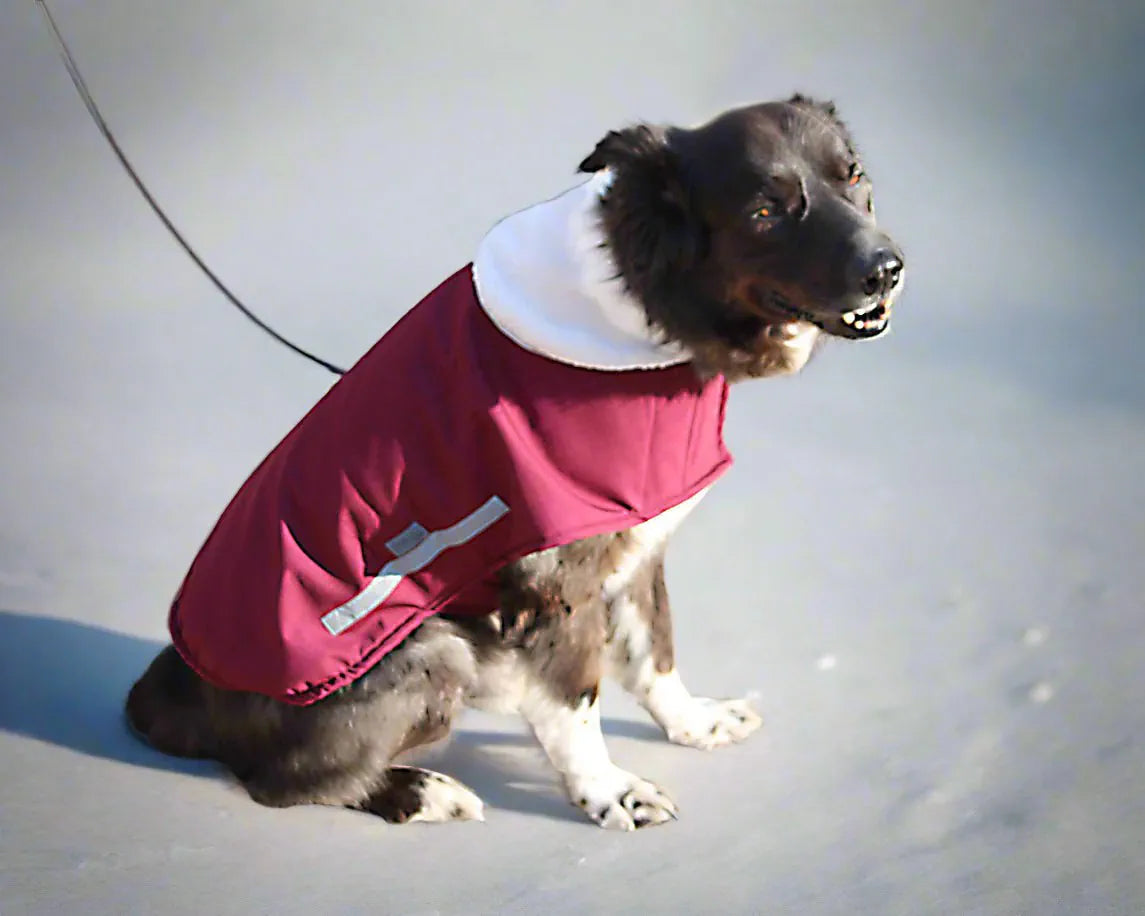 Hunde Wintermantel rot