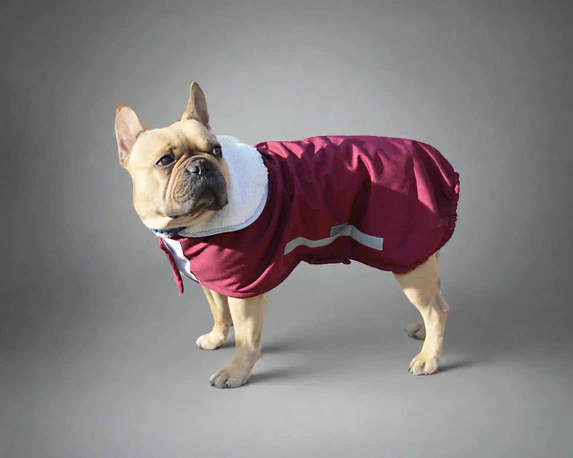 Hunde Wintermantel rot