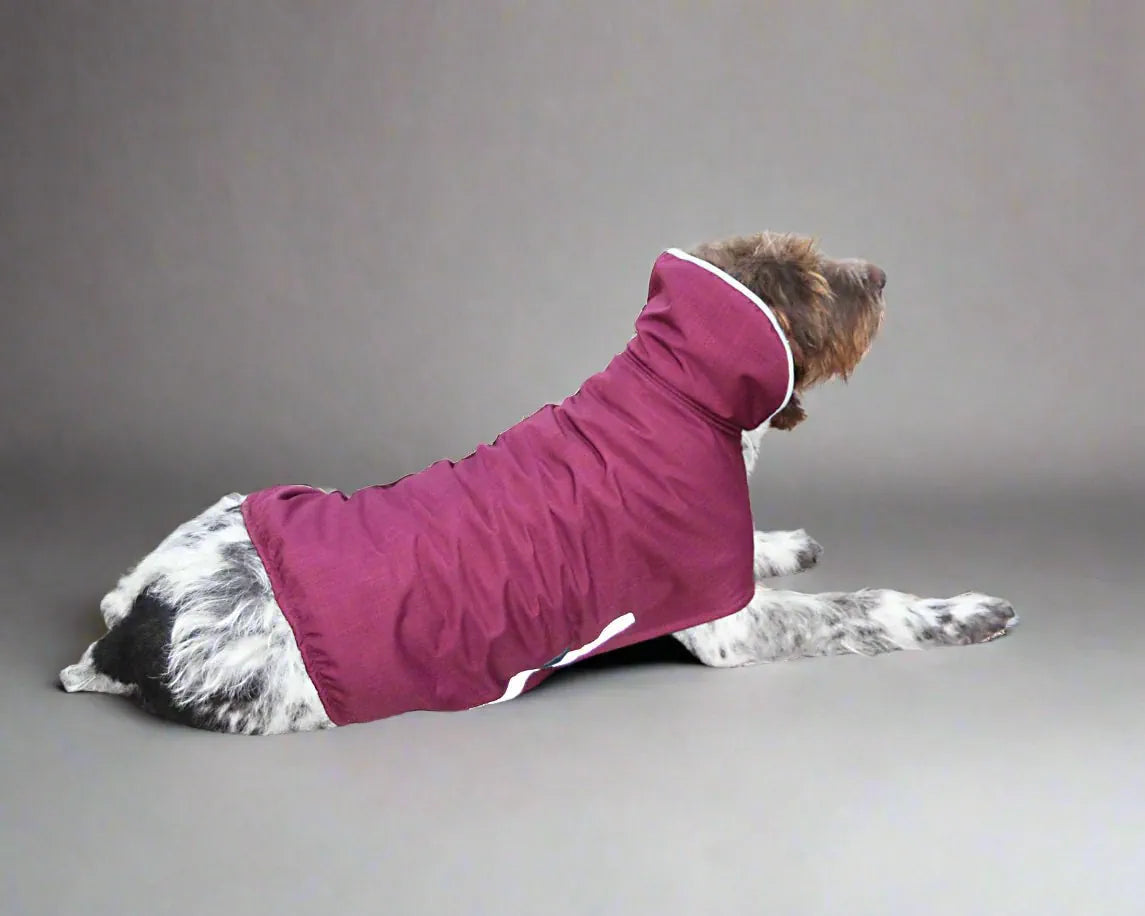 Hunde Wintermantel rot