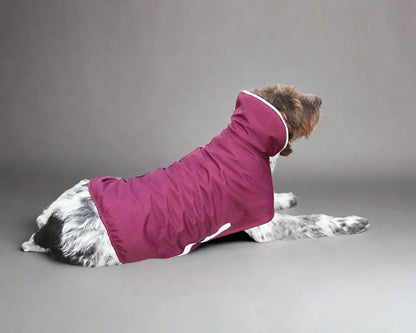 Hunde Wintermantel rot
