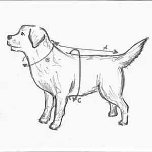 Hundemantel